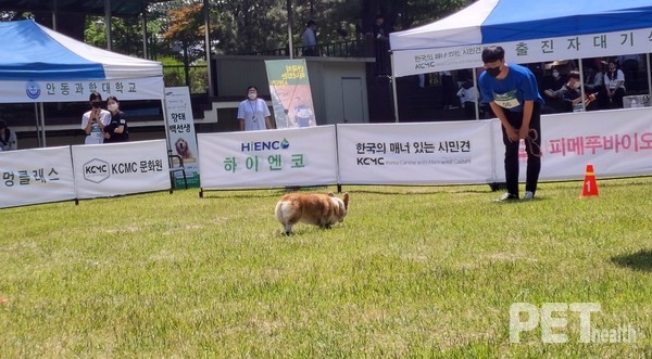 ‘불러들이기’ 수행중인 참가자. ⓒ펫헬스