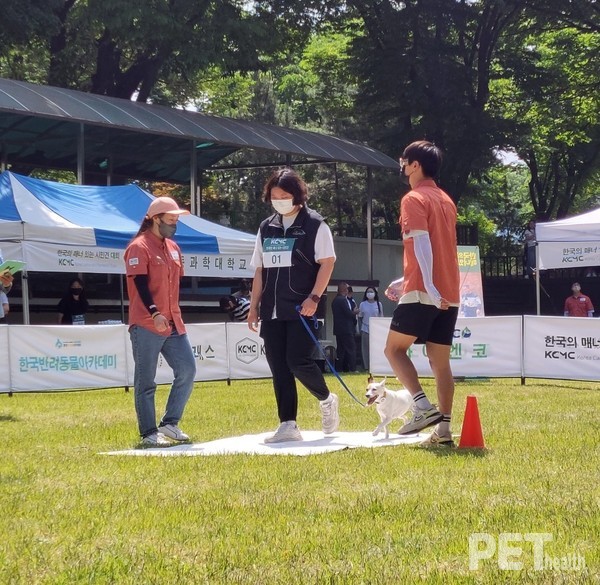 ‘군중 속 걷기’ 수행중인 참가자. ⓒ펫헬스
