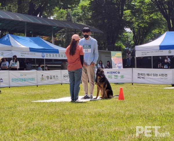 ‘낯선 사람과 대화하기’ 수행중인 참가자. ⓒ펫헬스