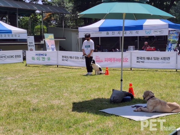 ⓒ펫헬스
