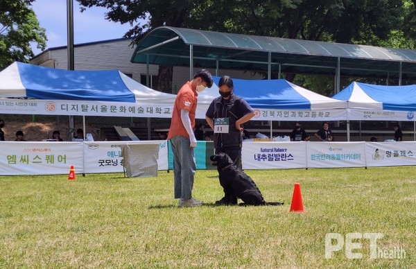 ‘낯선 사람과 대화하기’ 수행중인 참가자. ⓒ펫헬스