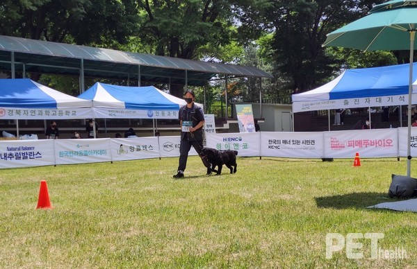 ‘반려견과 함께 걷기’ 수행중인 참가자. ⓒ펫헬스