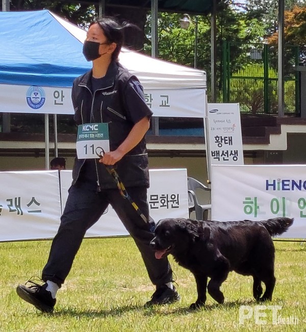 ‘반려견과 함께 걷기’ 수행중인 참가자. ⓒ펫헬스