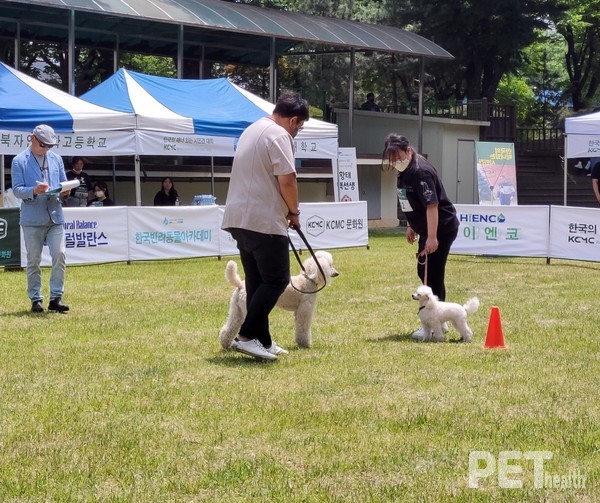 ‘다른 반려견을 만났을 때 반응’ 수행중인 참가자. ⓒ펫헬스