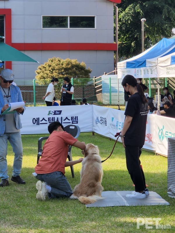 ‘낯선 사람이 쓰다듬기’ 수행중인 참가자. ⓒ펫헬스