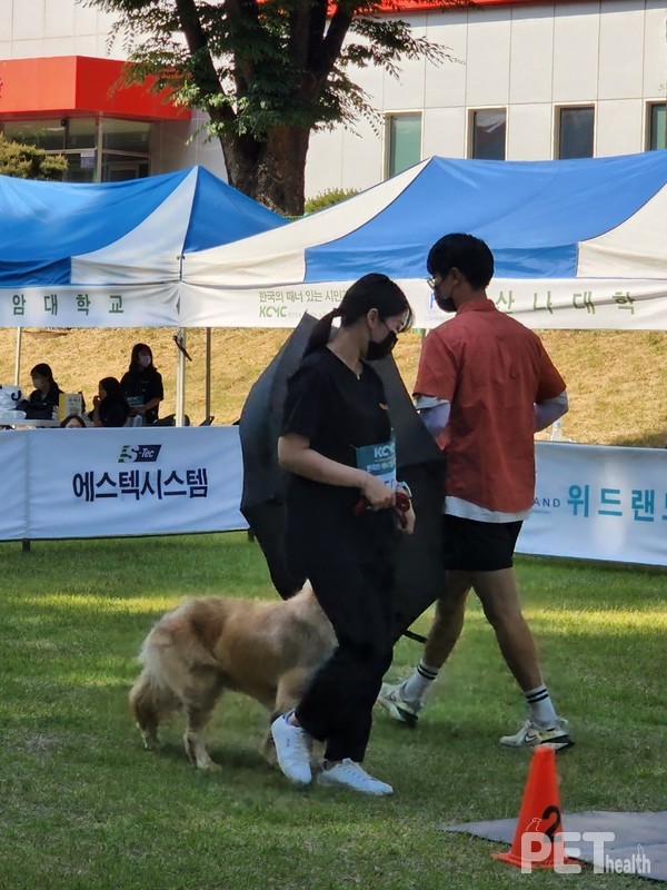‘돌발적 환경에 대응하기’ 수행중인 참가자. ⓒ펫헬스