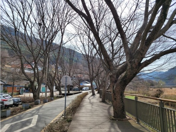 사진 한국관광공사