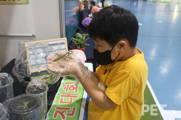 곤충숍 관람 모습. 사진 서울시