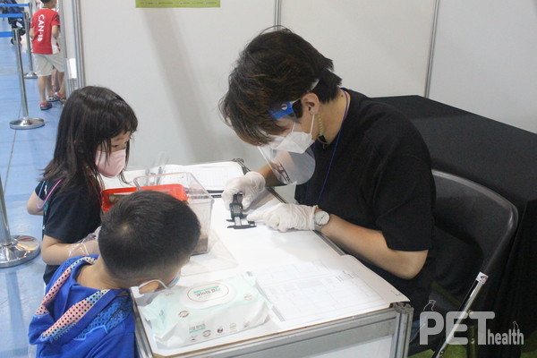 멋쟁이 곤충 경진 모습. 사진 서울시