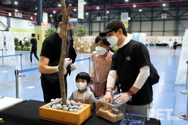 타잔곤충 경진 모습. 사진 서울시