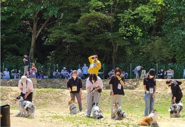 지난 11일 셀티동호회의 ‘셀티데이’ 행사를 진행하고 있는 반려동물 전문MC 펑키. ⓒ펫헬스
