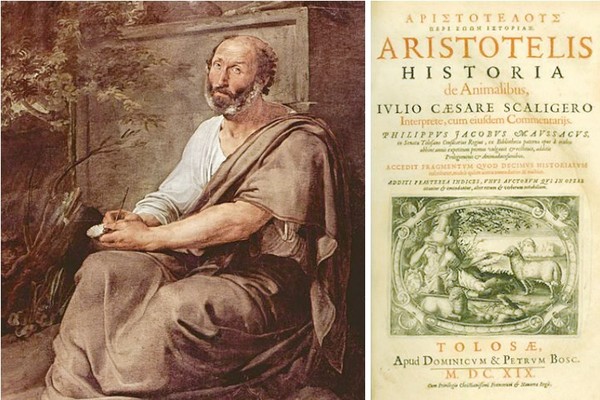 『History of animal』 아리스토텔레스는 최초의 동물학 책을 만들었다. 사진 필자제공