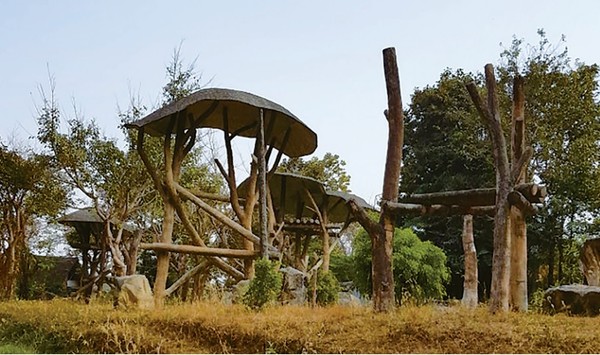 자연 친화적으로 설계된 태국 치앙마이 동물원. 사진 필자제공