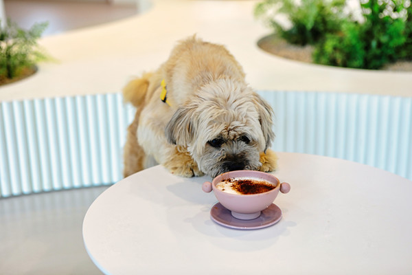 오산반려동물테마파크 전경. 사진 경기도