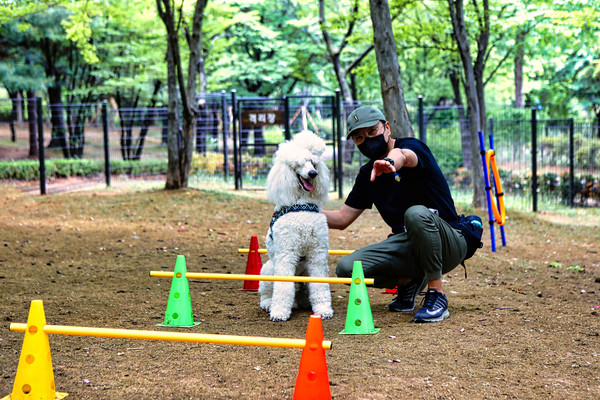 반려동물공원 전경. 사진 경기도