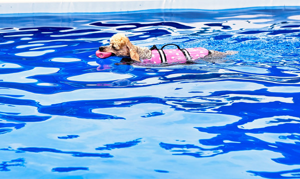 이천 달려라 코코 전경. 사진 경기도