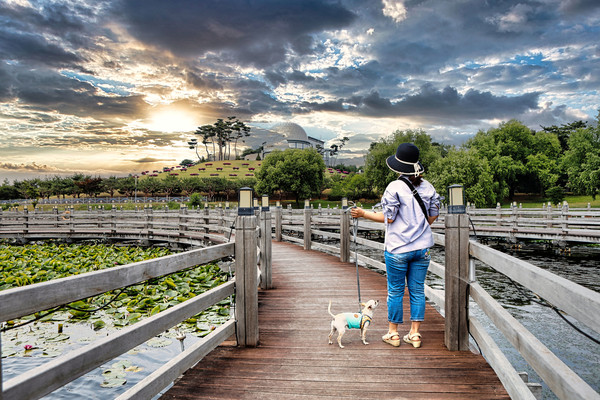 안성맞춤랜드에서 강아지와의 모습. 사진 경기도