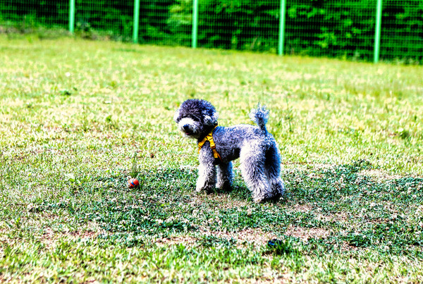 양평 국립산음자연휴양림 전경. 사진 경기도
