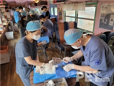 인천시 영흥지역 동물 진료 무료봉사. 사진 인천시