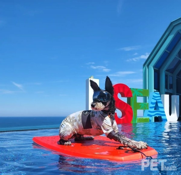 사진 어나더베이비