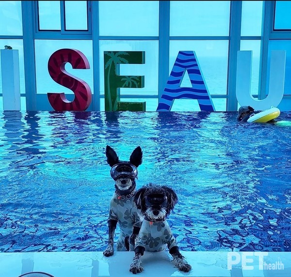 사진 어나더베이비