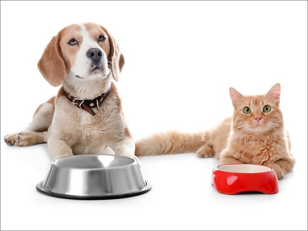 [사진=미국 펫푸드협회]