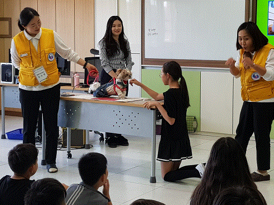 사진=한 초등학교에서 진행된 동물매개교육 모습] ⓒ펫헬스