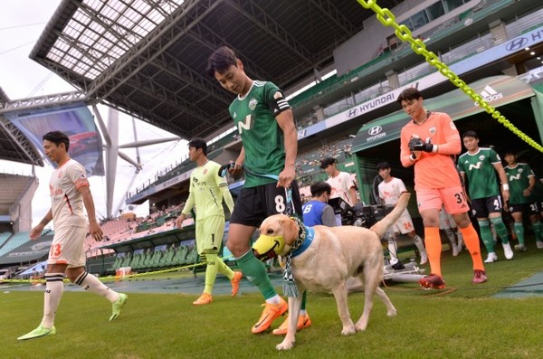 [사진=현대자동차] ⓒ펫헬스