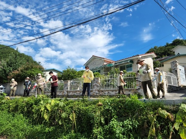 8일 광주 동구 야생동물포획단이 주택가 주변에 야생 들개 기피제를 살포하고 있다. 사진 광주 동구