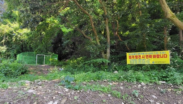 무등산 자락에 설치한 들개 포획 틀. 사진 광주 동구