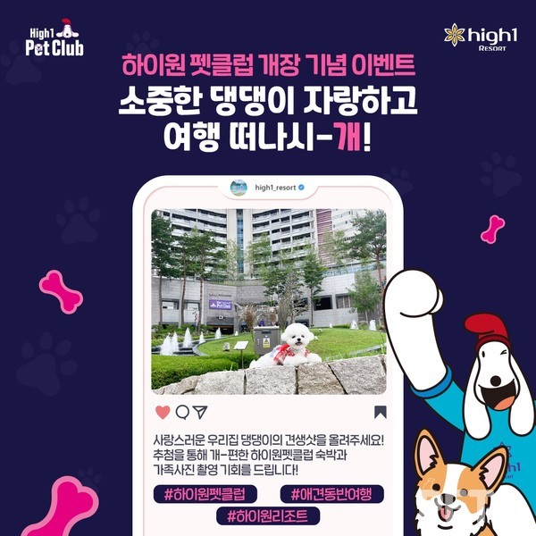 사진 하이원펫클럽