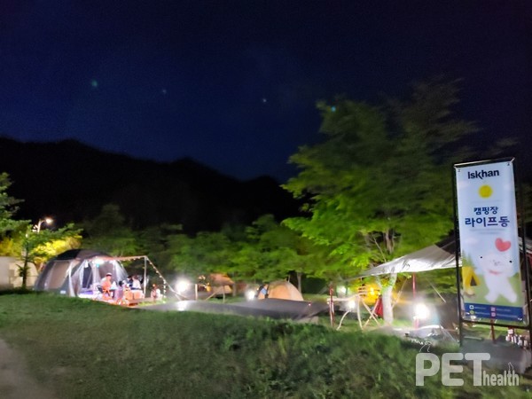 반려가족 전용 리조트&캠핑 ‘라이프위드도그’에서 즐기는 캠핑 모습. ⓒ펫헬스