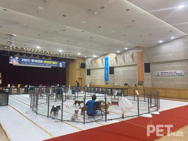 2021년 추석 연휴기간 노원구가 운영한 ‘반려견 쉼터’ 모습. 사진 노원구