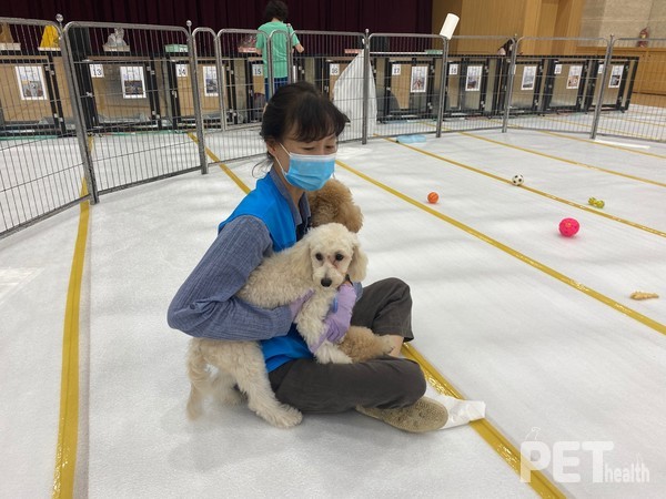 2021년 추석 연휴기간 노원구가 운영한 ‘반려견 쉼터’ 모습. 사진 노원구
