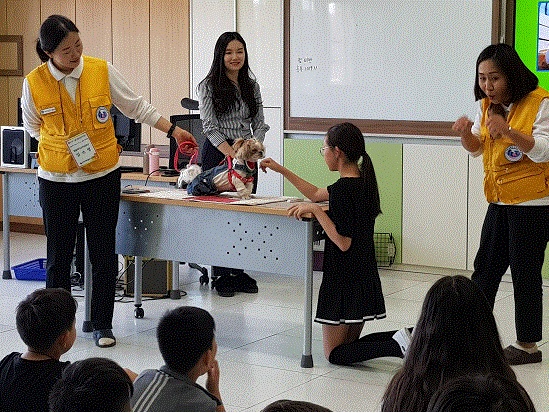 한 초등학교에서 동물매개교육이 진행 중인 모습.(사진은 기사내용과 관련없음) ⓒ펫헬스