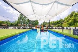 켄싱턴리조트 충주. 사진 트립닷컴