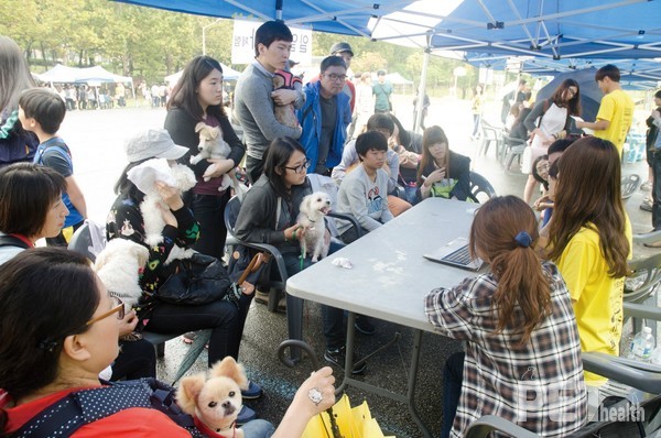 지난 2013년 당시 경북대 반려동물 한마당 행사 모습. 사진 경북대학교