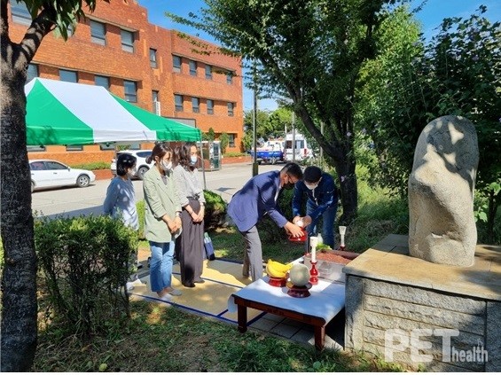 사진 인천광역시