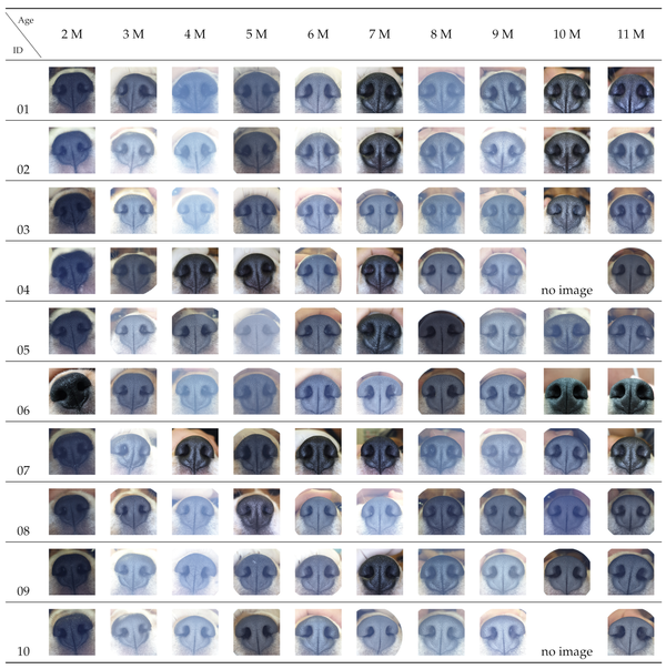 서울대학교와 건국대학교가 추진한 개의 비문에 대한 영속성 평가 DB 예시. 자료 필자제공