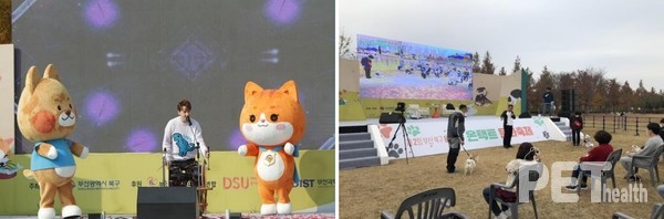 지난해 11월 20일~21일 열린 ‘제2회 부산 북구 동물사랑 온택트 문화축제’ 모습. 사진 북구