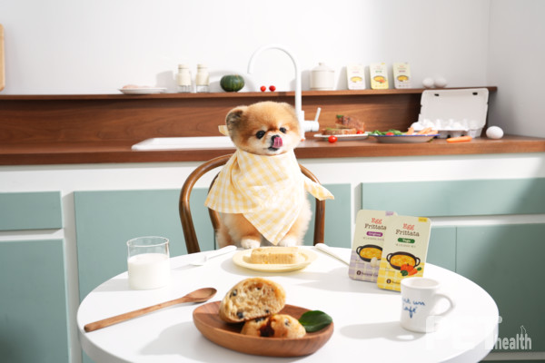 네츄럴코어가 완전식품인 계란으로 만든 영양 만점 강아지 간식 ‘에그프리타타(오리지널․베지)’를 출시했다. 사진 네츄럴코어