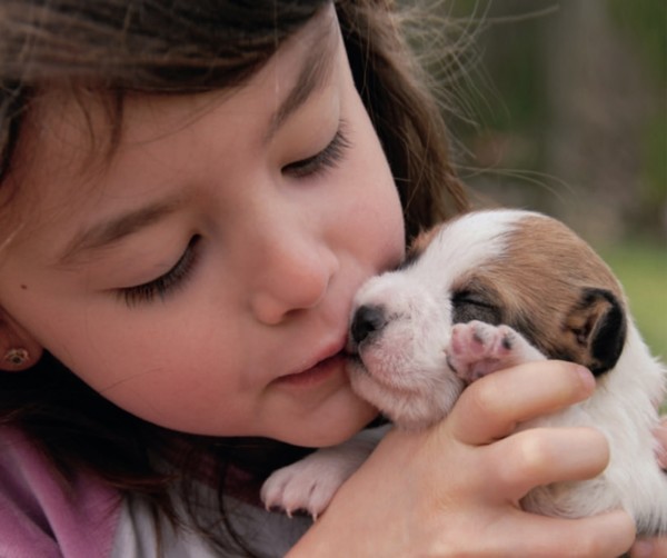 이미지 비알디코리아