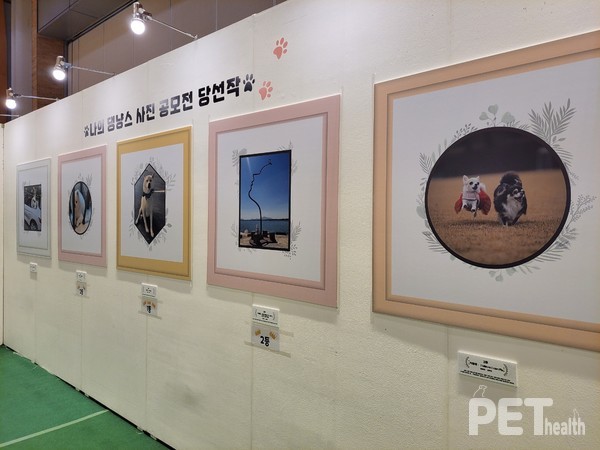 ⓒ펫헬스