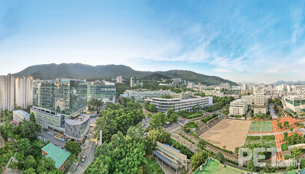 사진 부산대학교