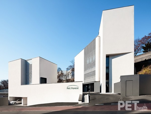 사진 펫포레스트