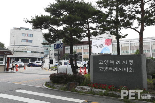 사진 고양시청