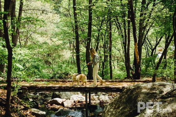 힐리언스 선마을 반려동물 트래킹. 사진 선마을