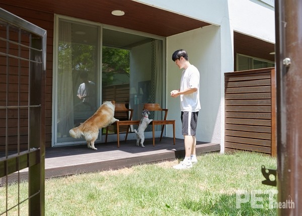 힐리언스 선마을 힐리펫룸. 사진 선마을