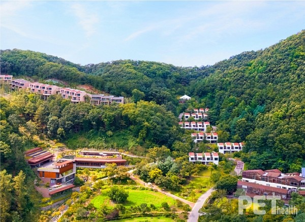 힐리언스 선마을 선마을 전경. 사진 선마을