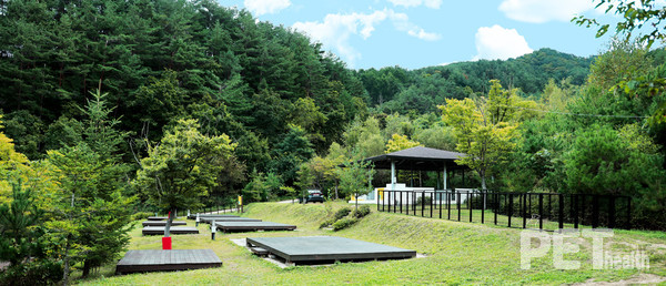 라이프위드도그 캠핑장. ⓒ펫헬스